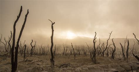 Terra Queimada 2025 𝙵ree